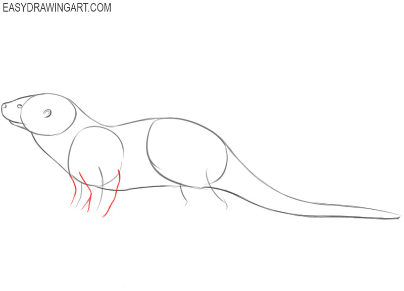 how to draw sea otter step by step 