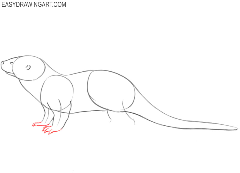 how to draw a cute cartoon otter 