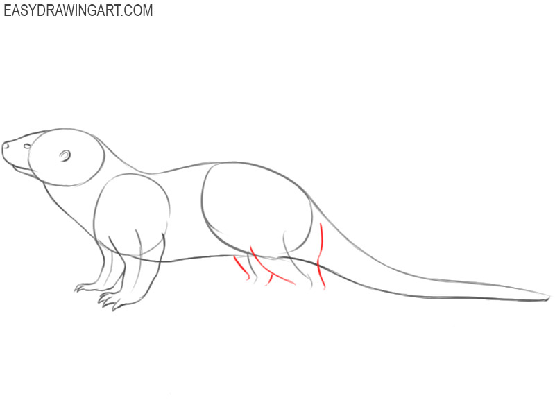 how to draw a simple cartoon otter