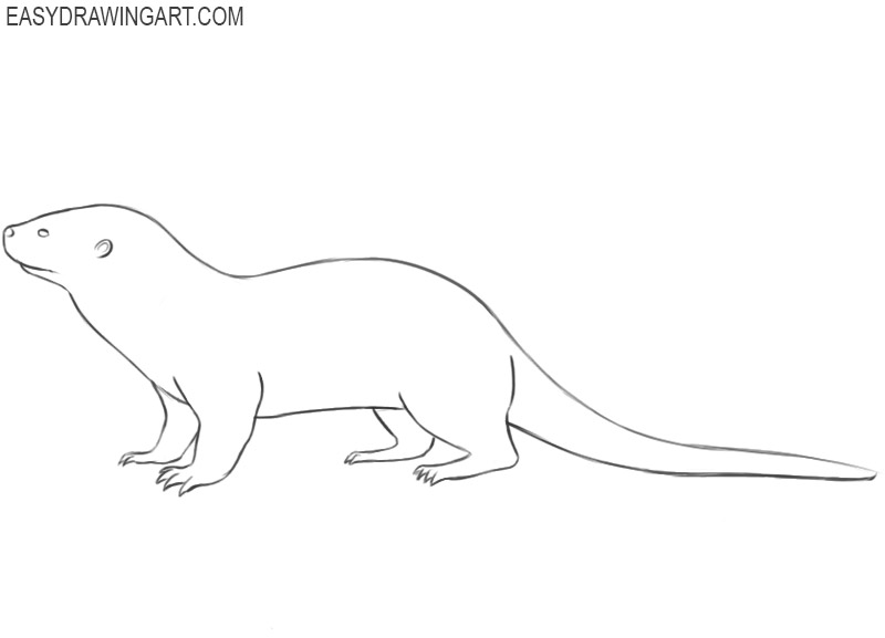 otter drawing easy 