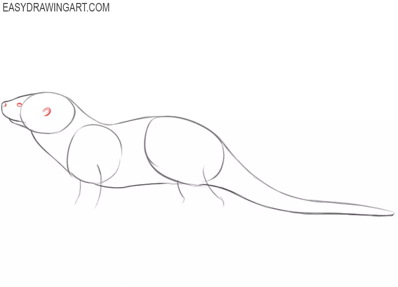how to draw an otter step by step easy 