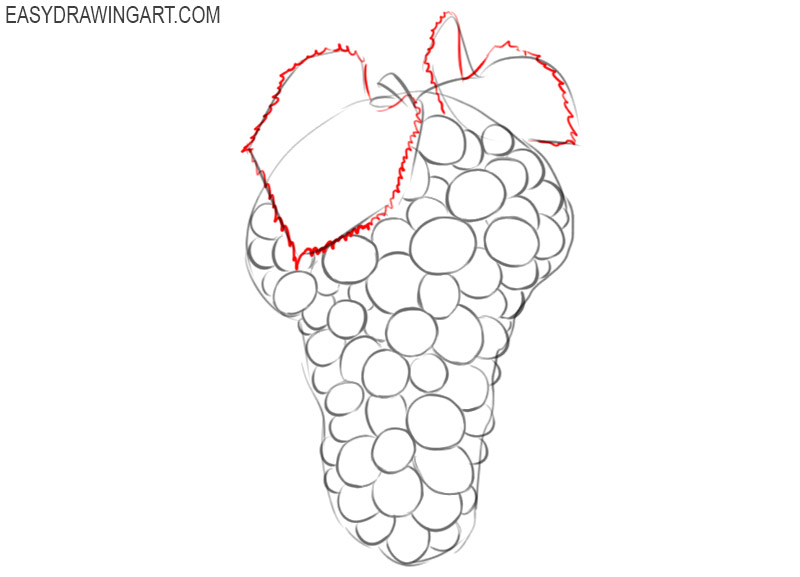 Grapes Coloring Vector Art, Icons, and Graphics for Free Download