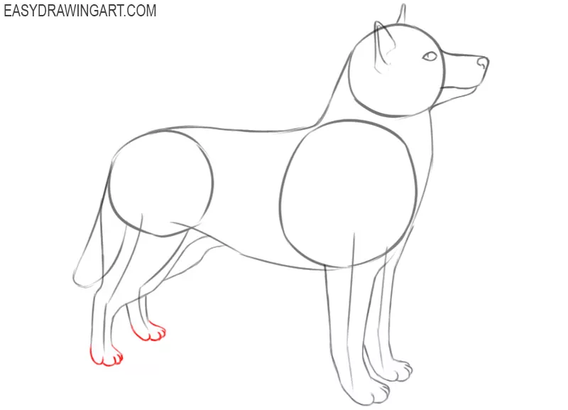 how to draw cool husky