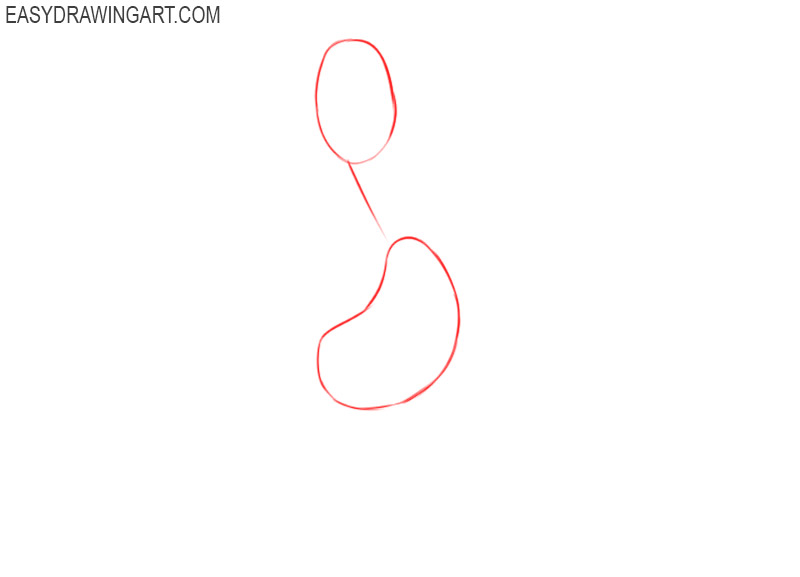 how to draw daffy duck full body 