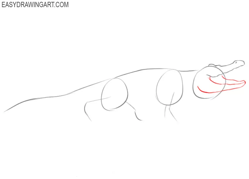 how to draw easy alligator 