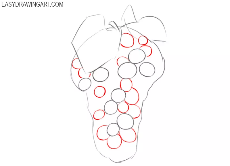 how to draw grapes plant