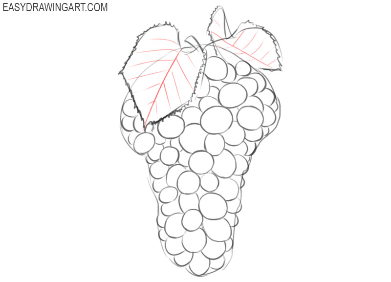 how to draw grapes for beginners