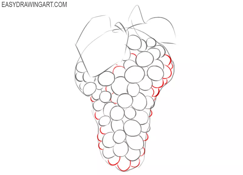 how to draw grapes step by step easy