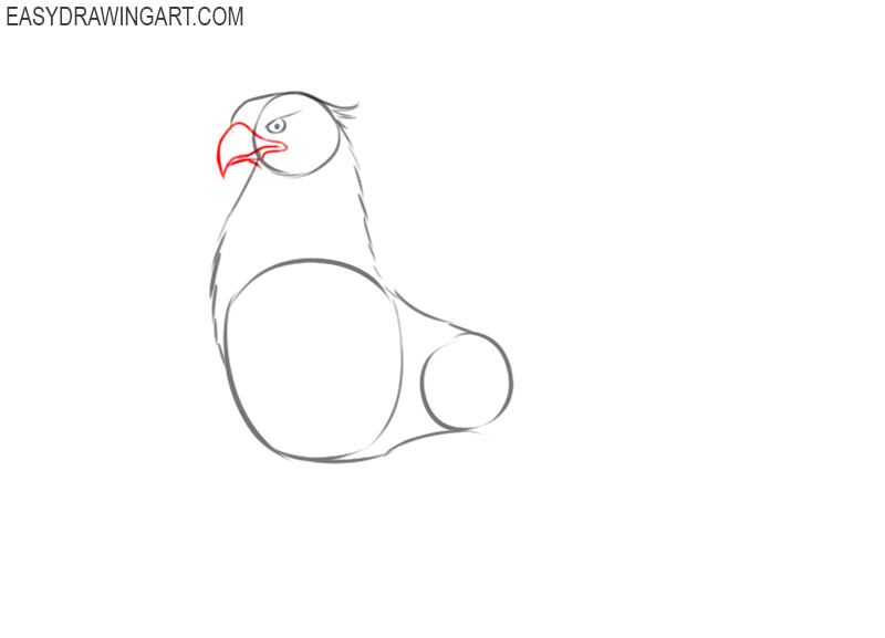how to draw griffin animal