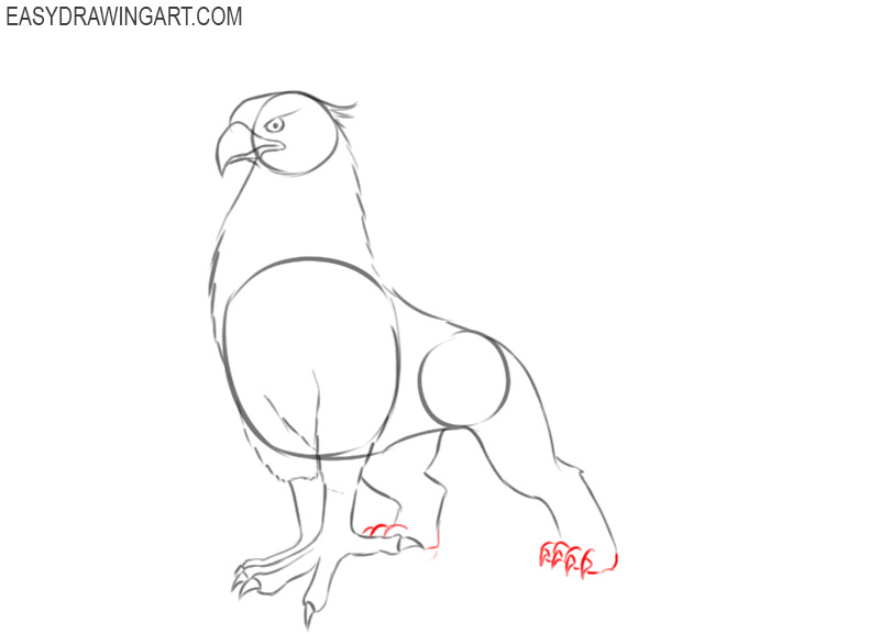 how to draw griffin wings