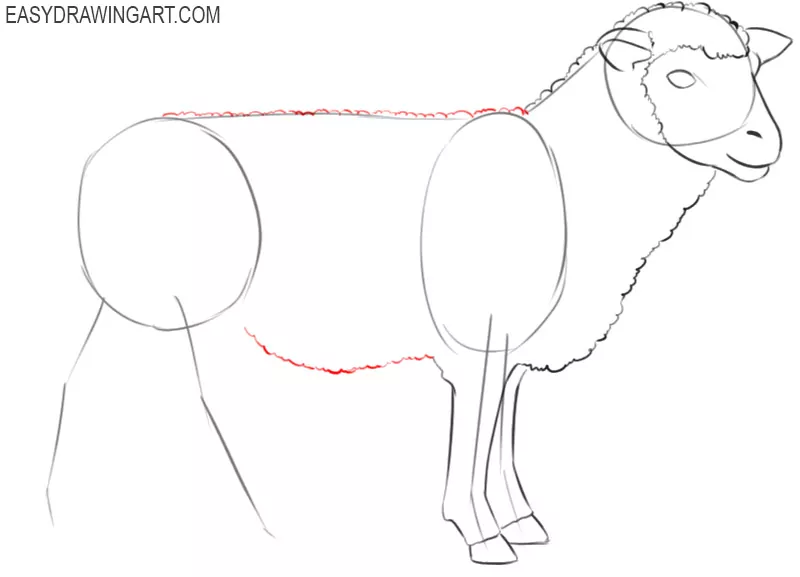 how to draw picture of sheep