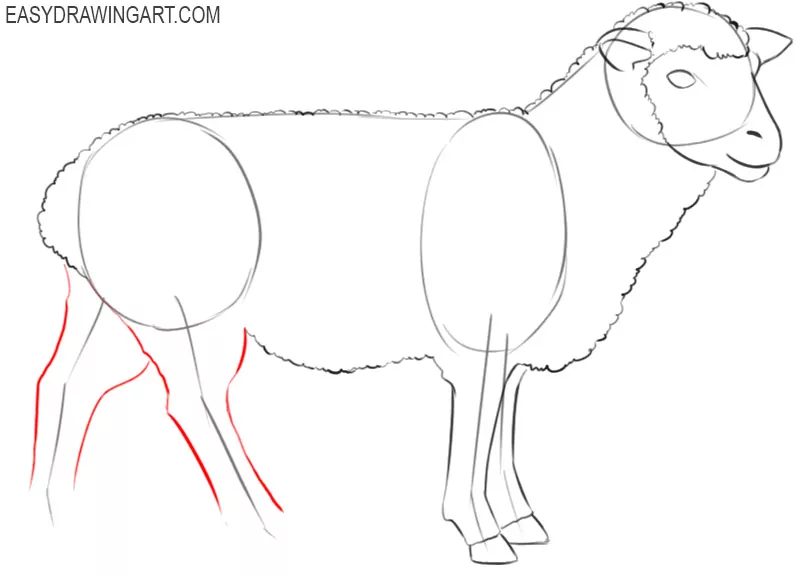 how to draw sheep picture