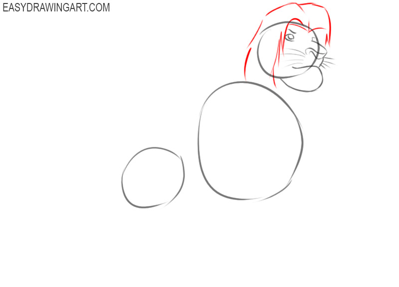 how to draw simba easy