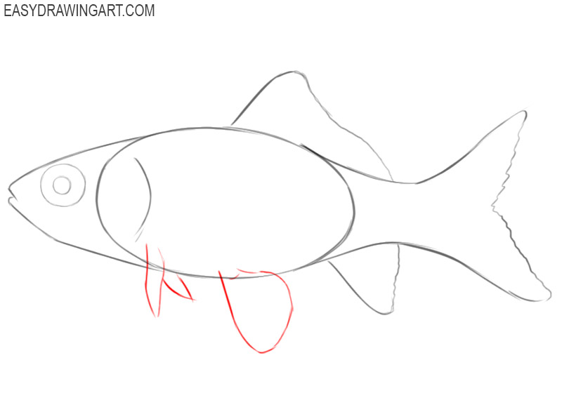 how to easily draw a goldfish
