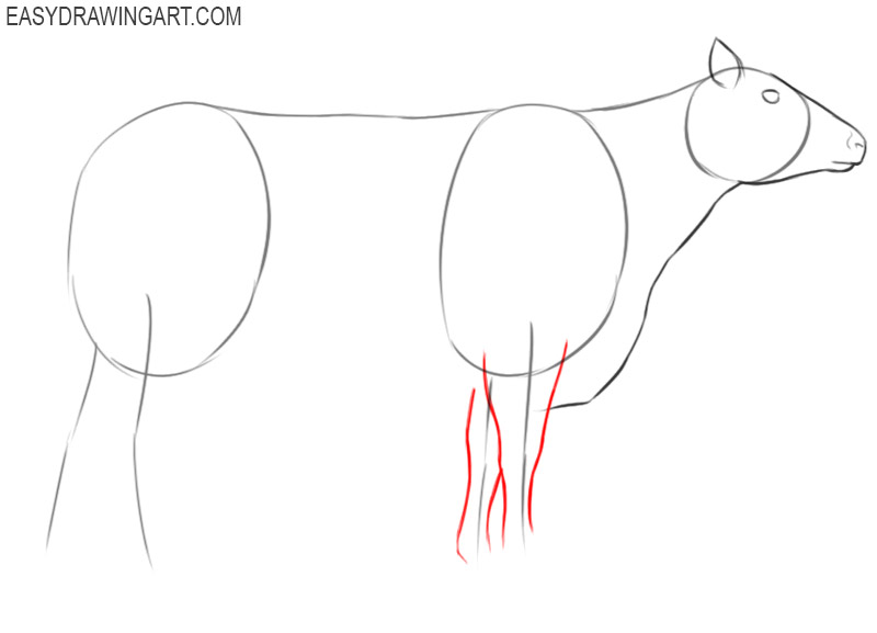 images of how to draw a cow