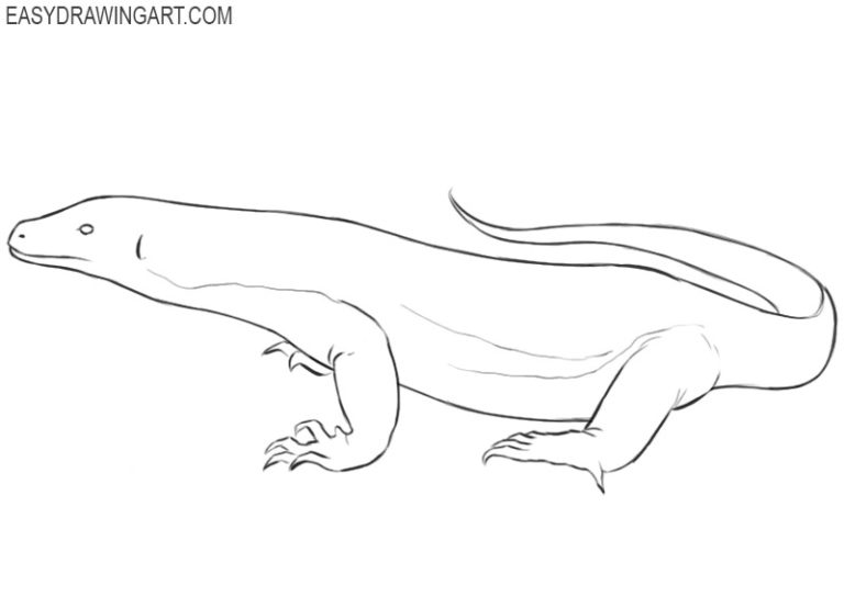 How to Draw a Komodo Dragon Easy Drawing Art