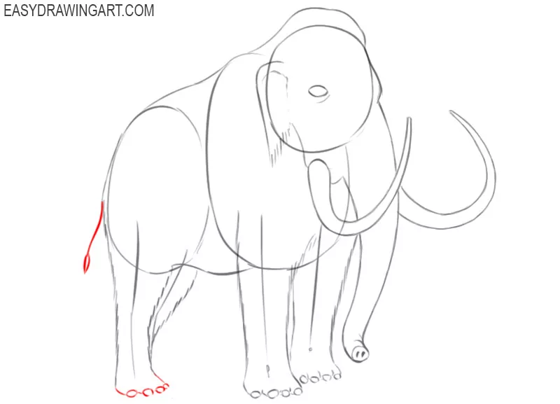 mammoth drawing step by step