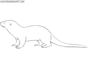 How to Draw an Otter - Easy Drawing Art
