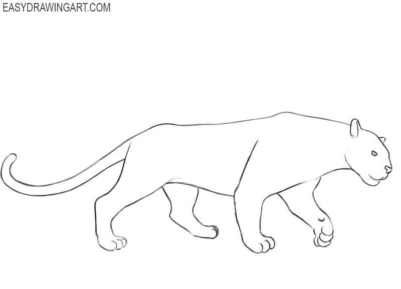 How to Draw a Panther - Easy Drawing Art