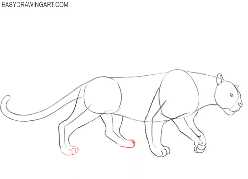 How to Draw a Black Panther Roaring