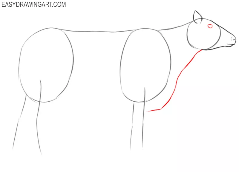 pictures of how to draw a cow