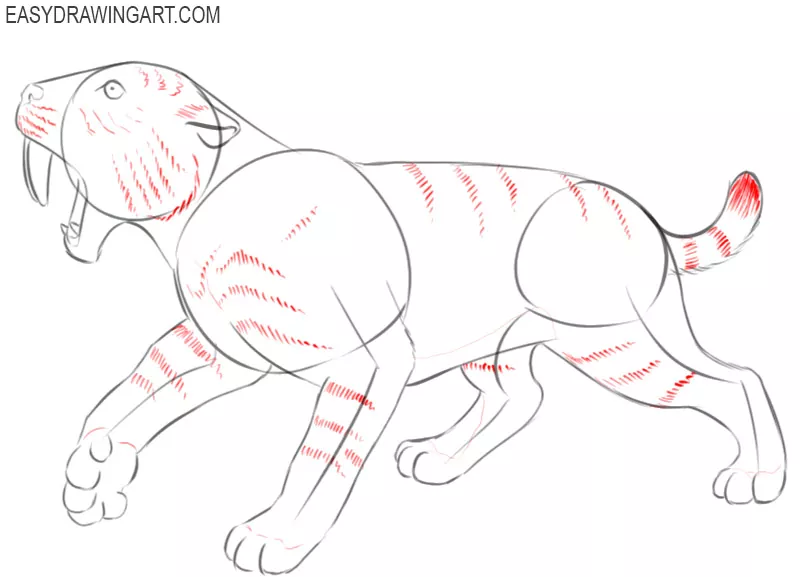 saber tooth tiger drawing easy