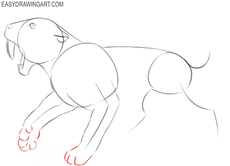 How to Draw a Saber Tooth Tiger Easy Drawing Art