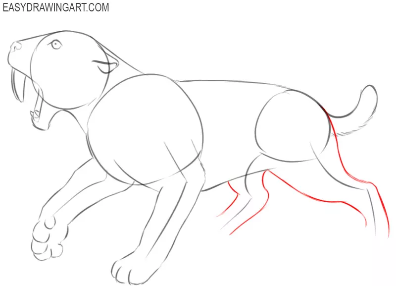 saber tooth tiger pictures to draw