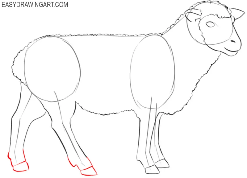 sheep drawing cute