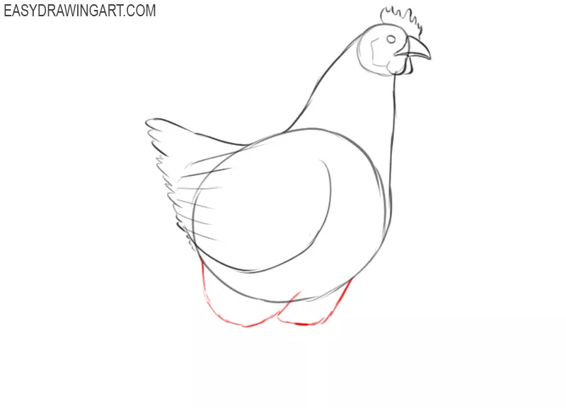 show me how to draw a chicken