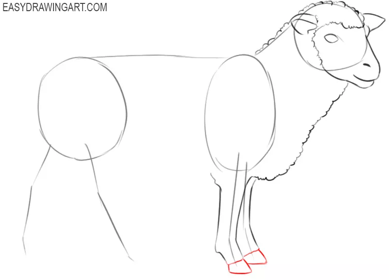 show me how to draw a sheep