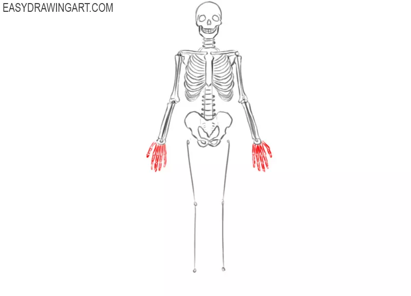 skeleton drawing easy