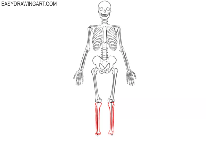 skeleton drawing simple