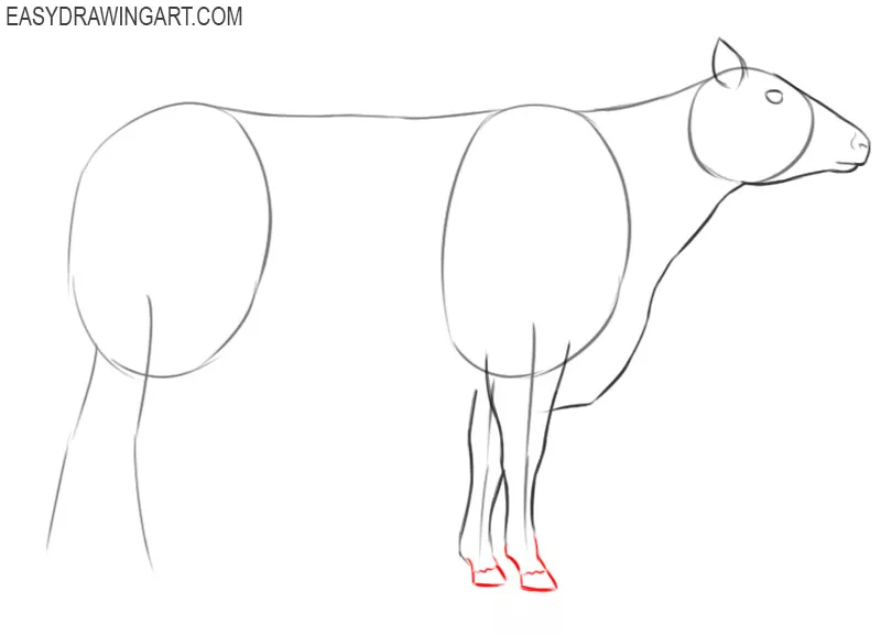steps of how to draw a cow