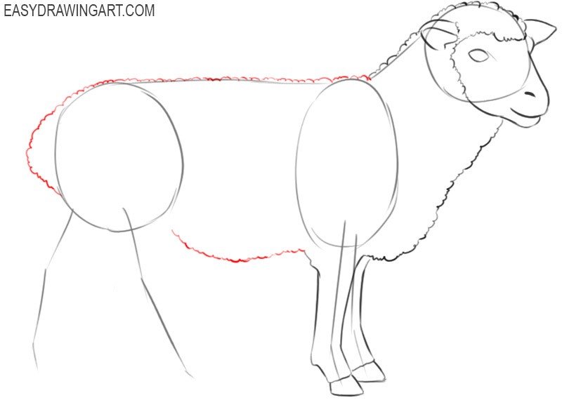 how to draw a cute sheep