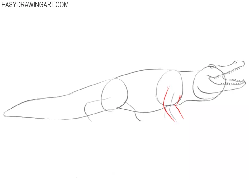 steps on how to draw an alligator