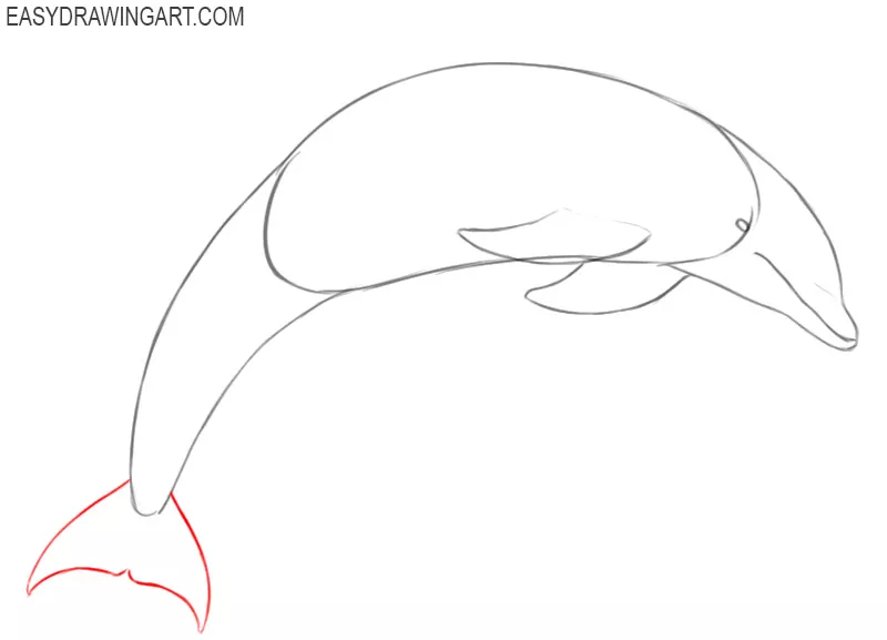 How to Draw a Cartoon Dolphin Cute and Easy - video Dailymotion