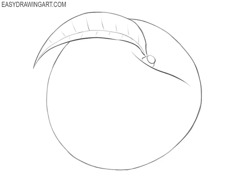 How to draw a peah easy