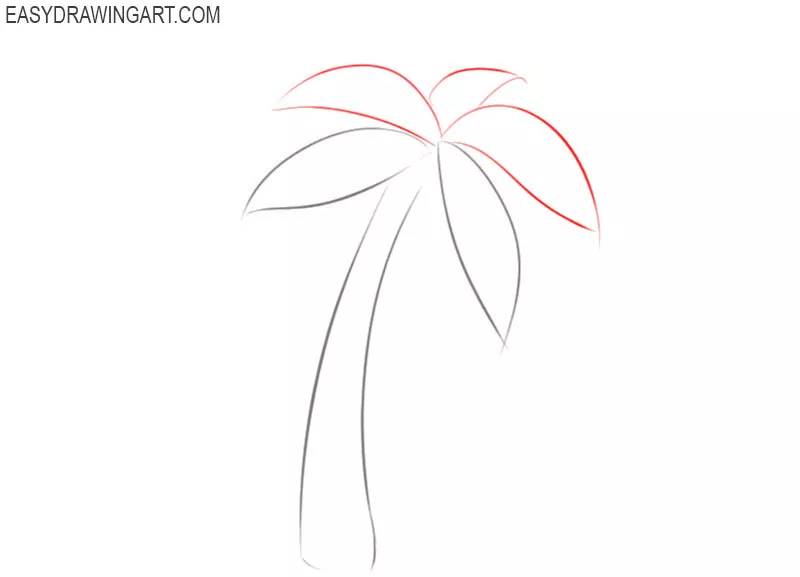 How to sketch a palm tree