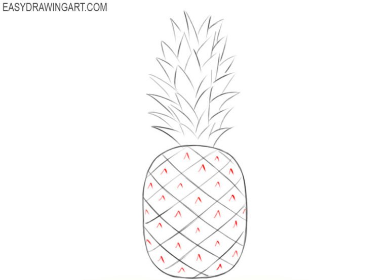 How to Draw a Pineapple Easy Drawing Art