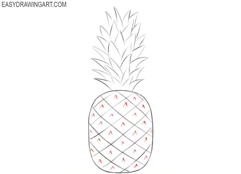 Learn how to draw a pineapple