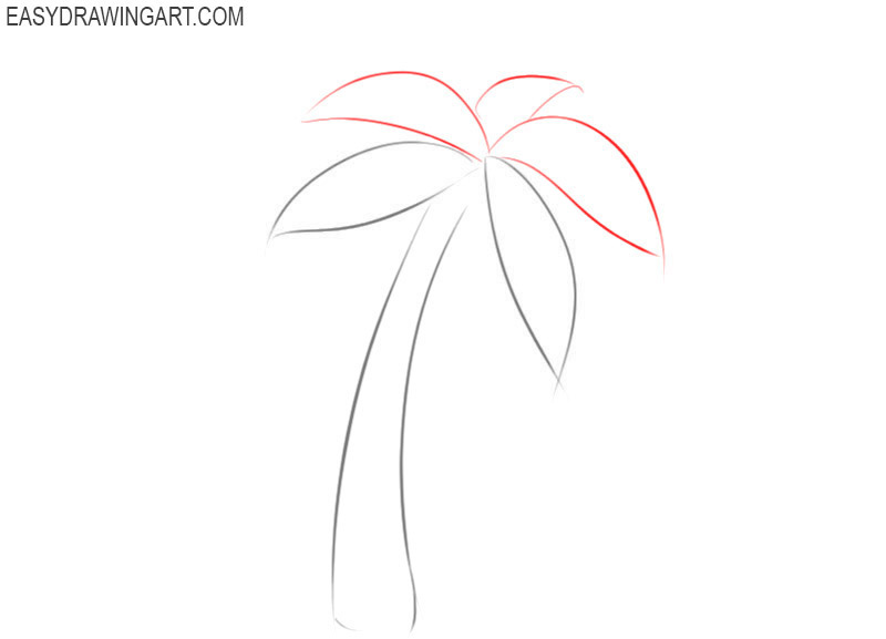 How to sketch a palm tree