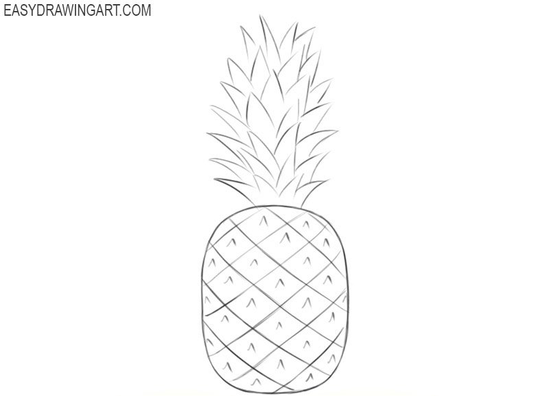pineapple drawing tutorial