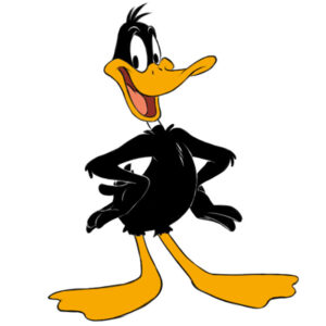 how to draw Daffy Duck