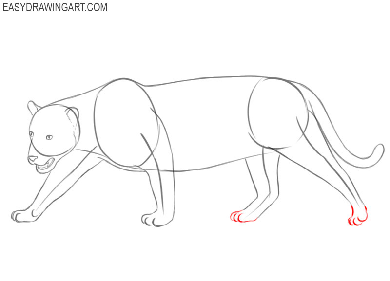 how to draw a jaguar body