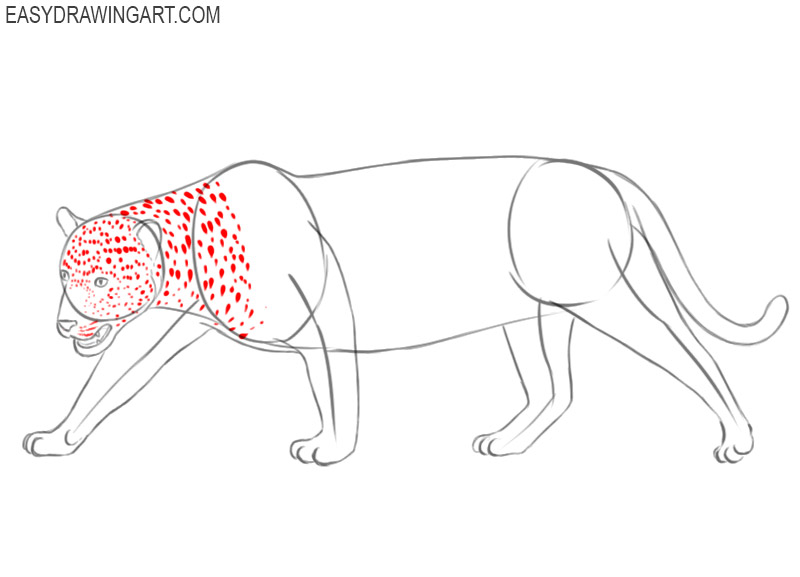 how to draw a jaguar step by step