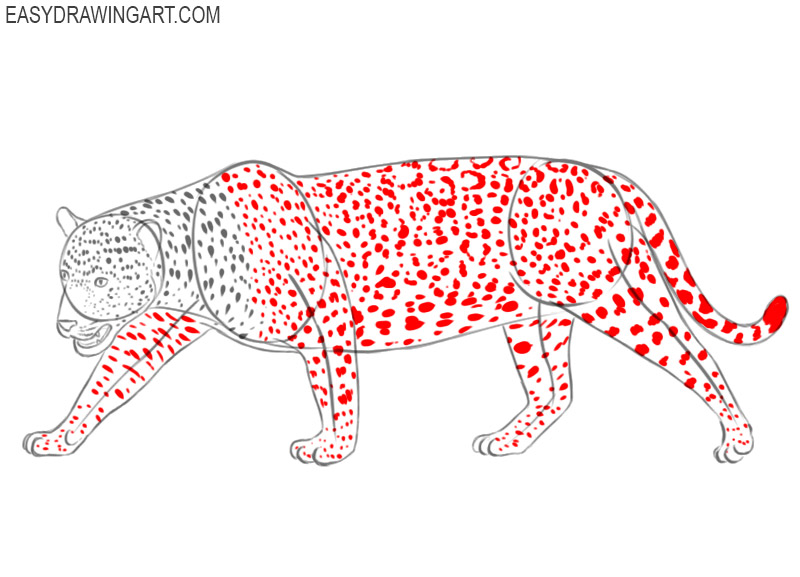 how to draw a jaguar easy