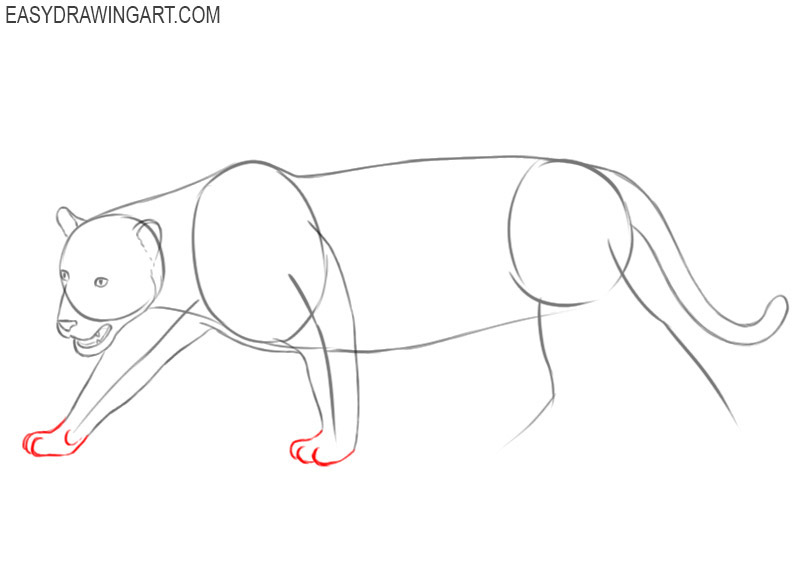 Jaguar drawing guide