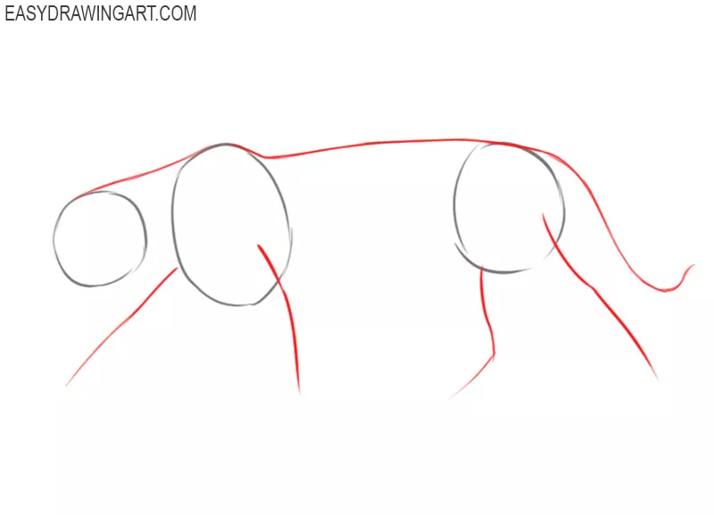 Drawing a jaguar