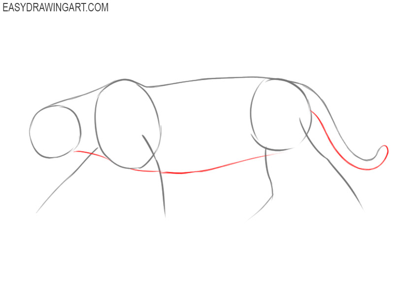 Jaguar drawing tutorial